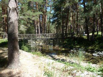 Pesquerías Reales y Fuentes de La Granja;asociaciones de senderismo en madrid tejo árbol clubs sen